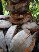 Load image into Gallery viewer, Image 03: Tiki Monoi Oils Tiki Monoi Ao 120Ml
