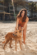 Load image into Gallery viewer, Image 12: Rio De Sol Ensemble Set Maracai Zaya Essential
