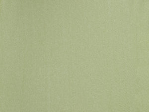 Bottom Oliva Hotpants