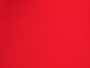 Red Rash Guard